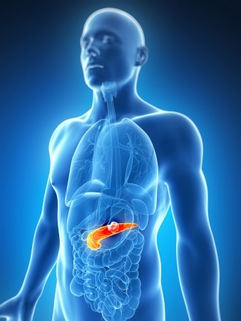 Byetta Pancreatic Cancer