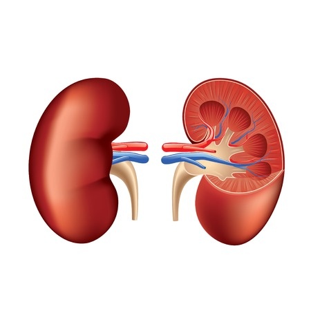 Nexium Kidney Failure